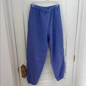 Blue/purple Jogger Sweatpants aritzia